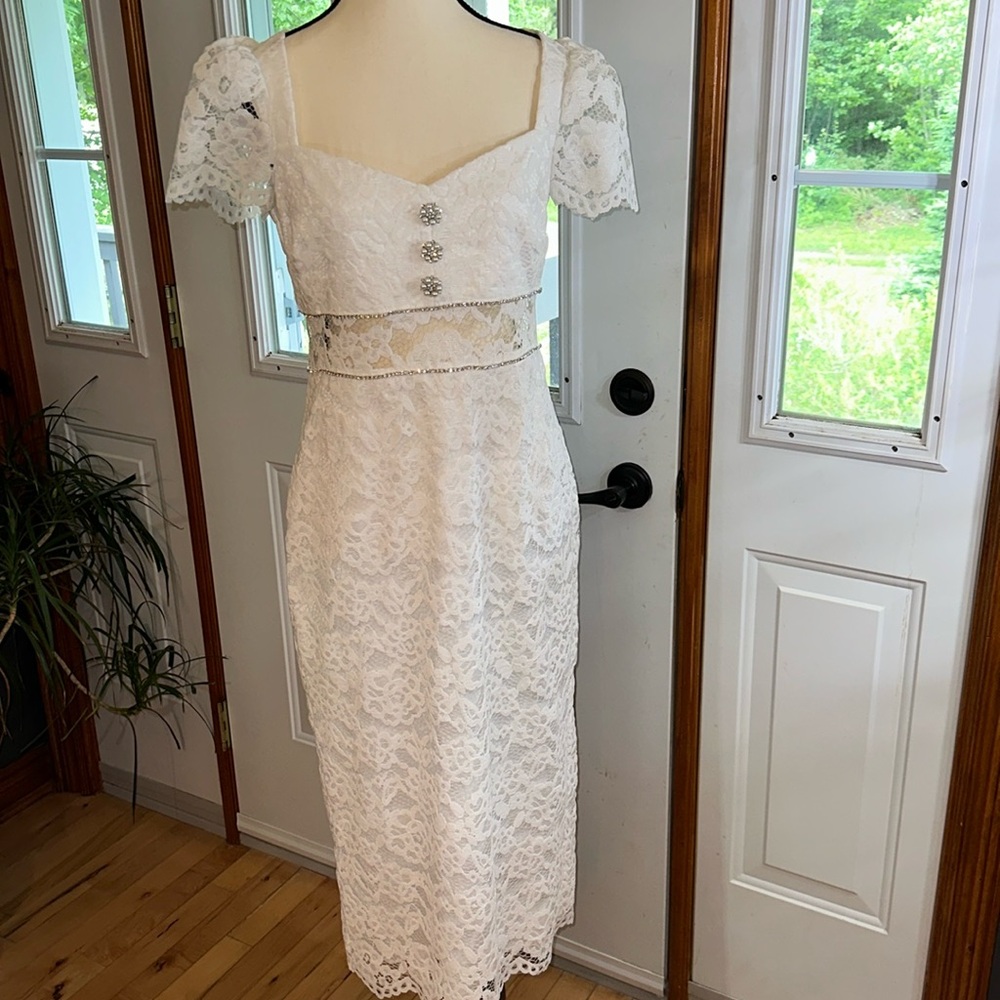 BNWT LIKELY Stirling Lace Dress